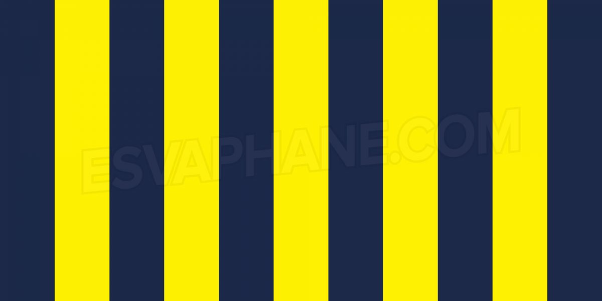 İLK BİLGİLER | Fenerbahçe 20-21 İç Saha Forması